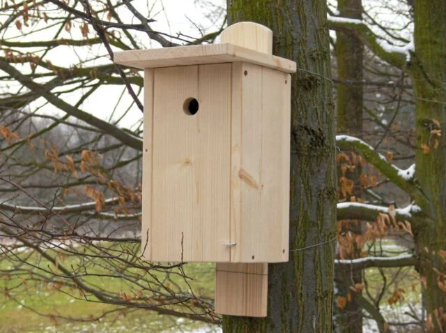 Dřevěná ptačí budka připevněná ke kmeni stromu v zimním prostředí.