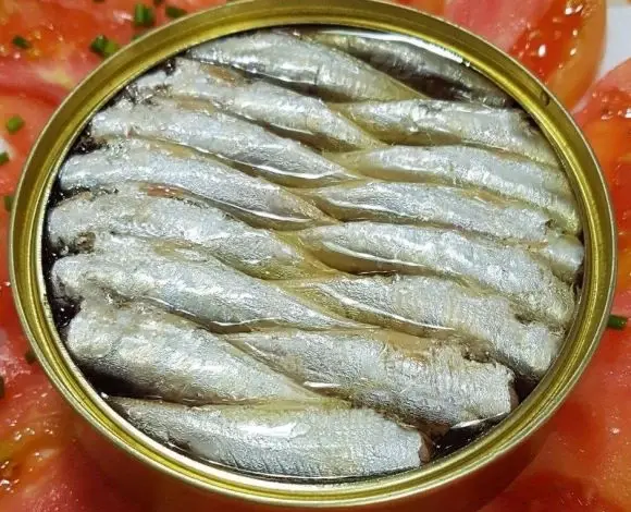 Otevřená plechovka sardinek obecných v oleji.