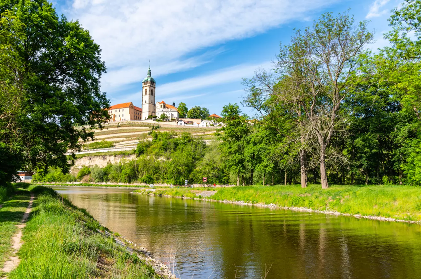 Řeka Vltava v Praze s břehy porostlými zelení