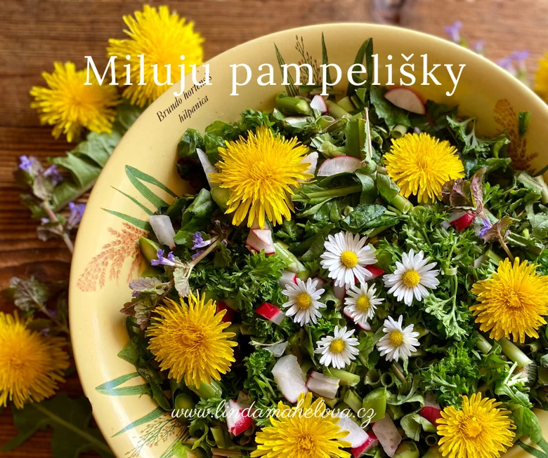 Salát z pampelišky s květy, bylinkami a řepkovými plody v žluté misce.