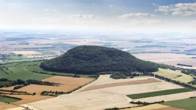 Vzdušný pohled na zalesněnou horu Říp s okolními poli.