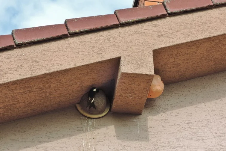 Jiřička v hnízdě z keramiky na fasádě domu.
